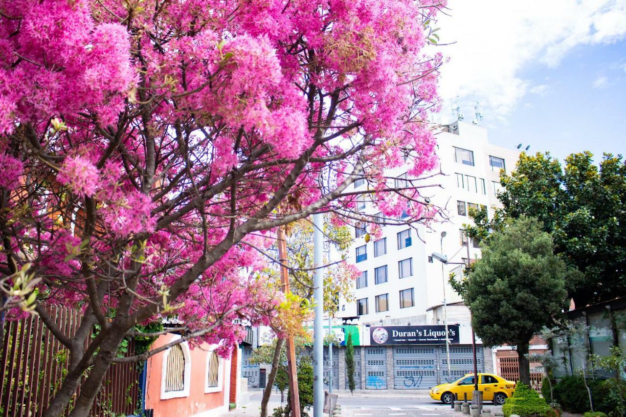 Hostal Loro Verde Кіто Екстер'єр фото